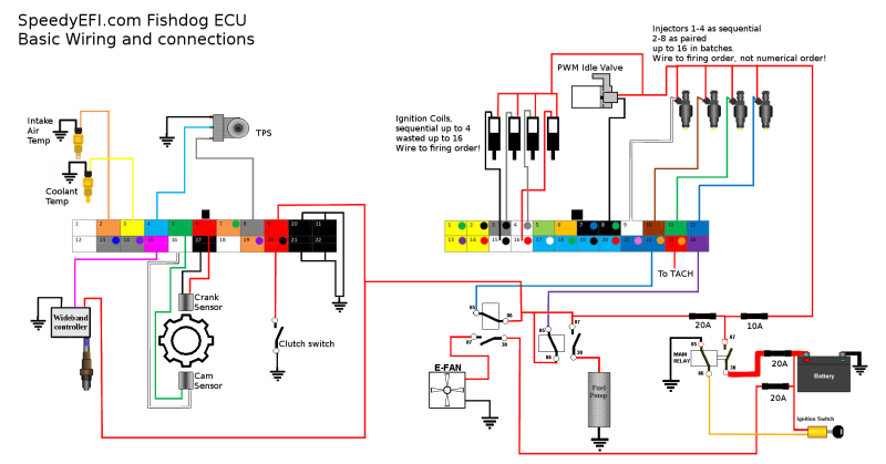 SpeedyEFI-Fishdog-wiring.png